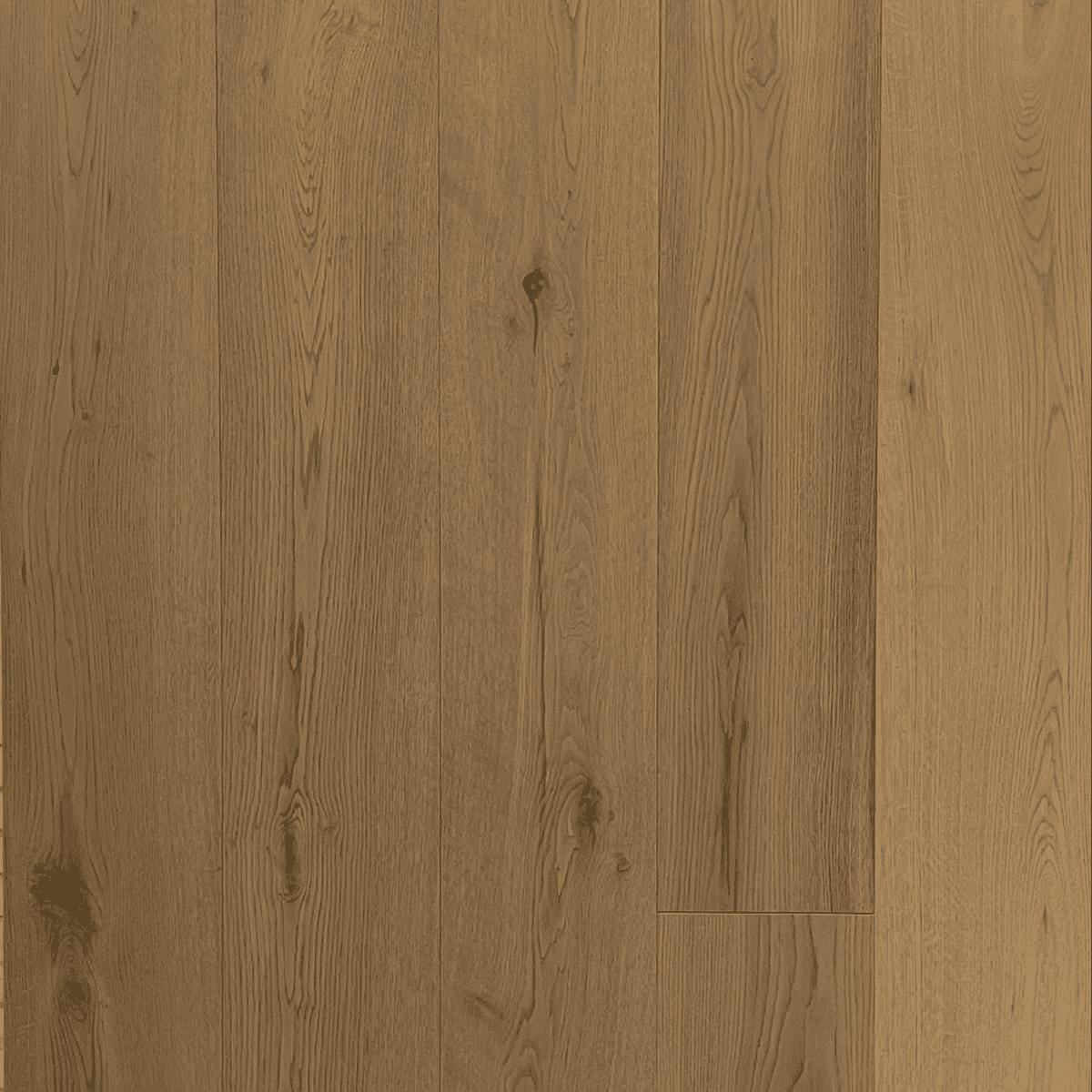 Anacis - Image 2