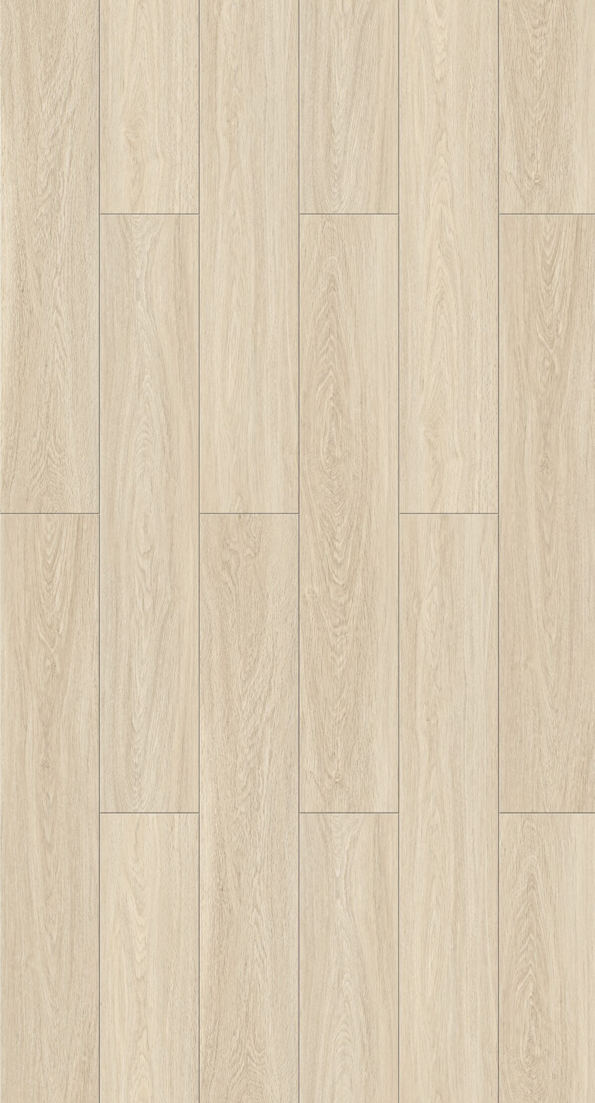 Angora - Image 2