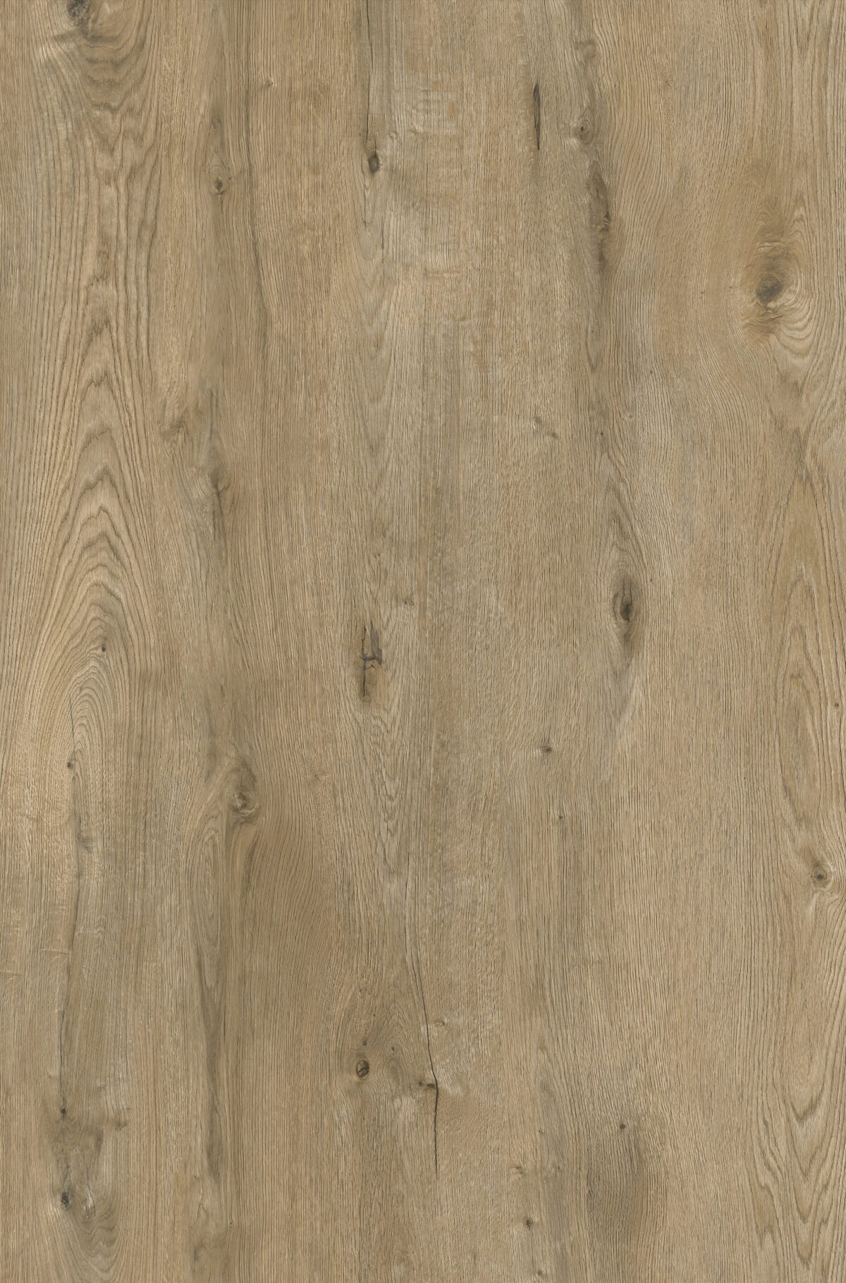 Chestnut