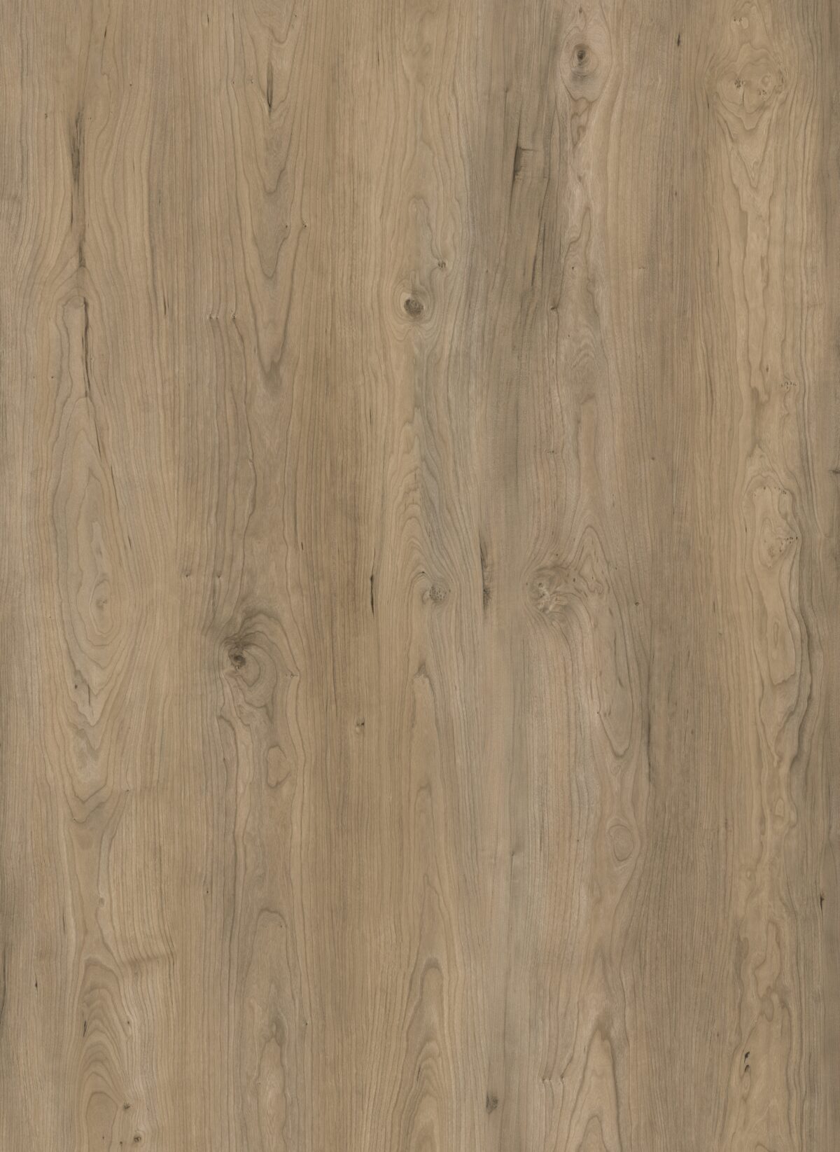Urban Slate