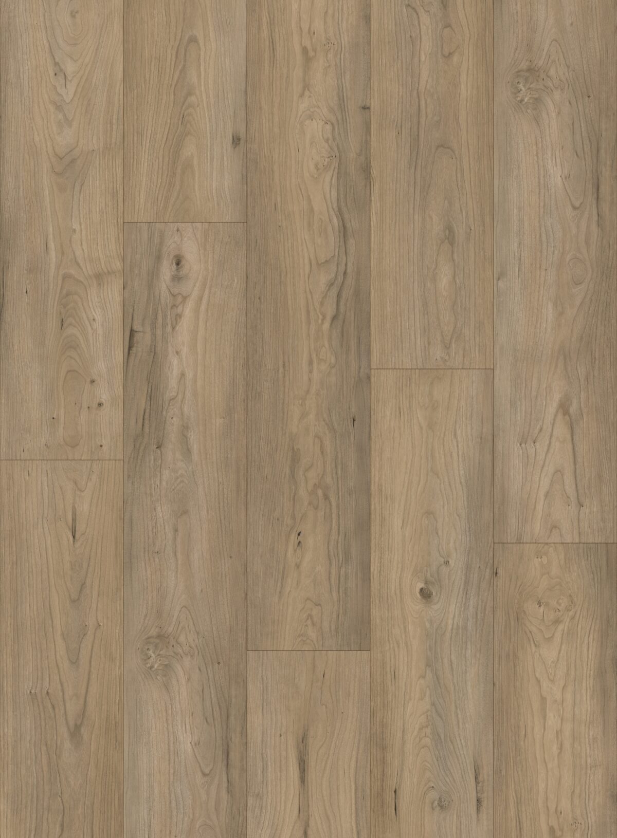 Urban Slate - Image 2