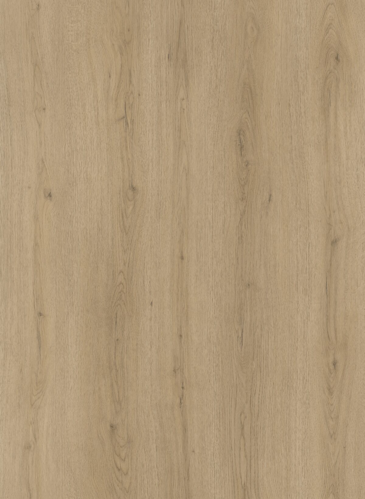 Alpine Ash