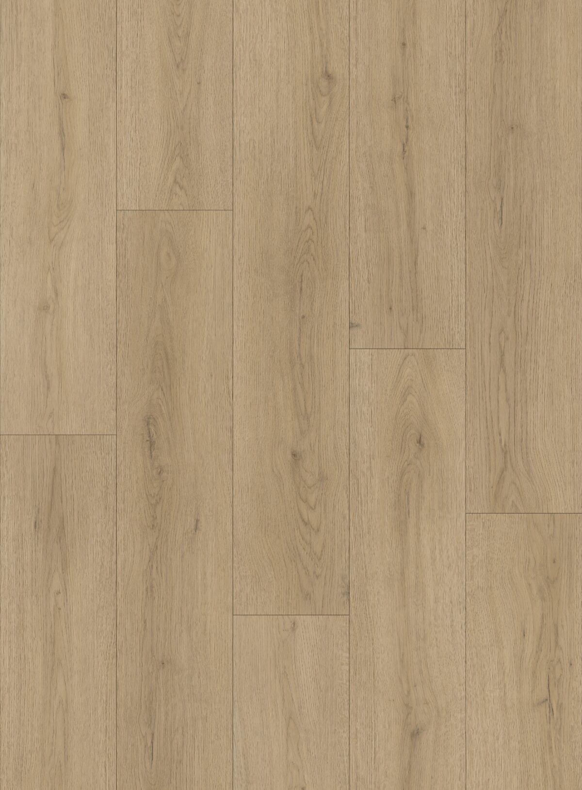 Alpine Ash - Image 2